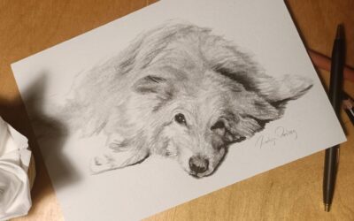 Di 18 nov – Special Workshop Dieren & Insecten tekenen |volw /16+ |1 les
