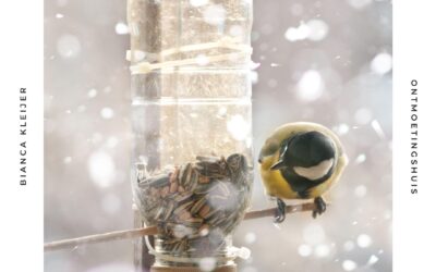 Za 20 dec – Help vogels de winter door |6+